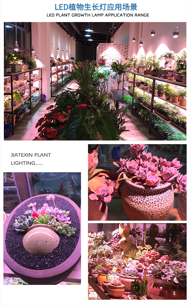 1646903439149951.jpg 21718454743_1569344574.jpg